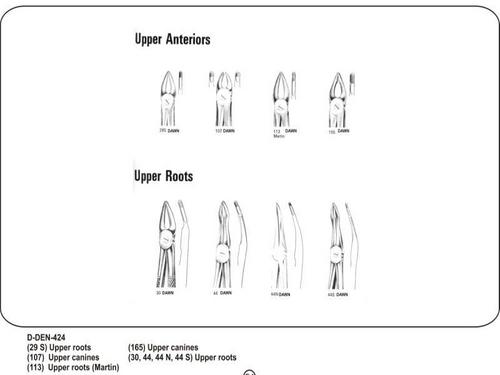 Stainless Steel Upper Anteriors And Upper Roots