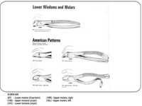 Lower Wisdom and Molars, American Patterns 