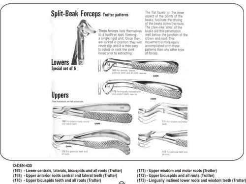 Split-Beak Forceps Trotter Pattern