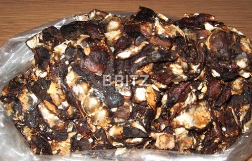 Seedless Tamarind
