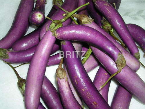 Brinjal