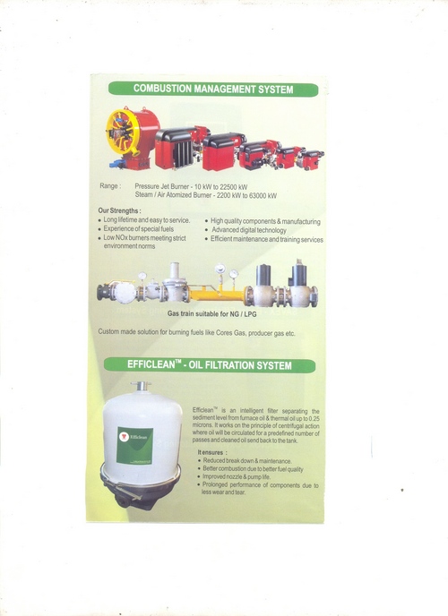 Combustion Management System