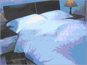 Bed Sheet