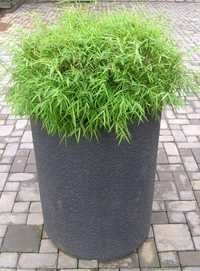 Fiber Glass Urn Planter