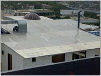 Polycarbonate Sky Dome
