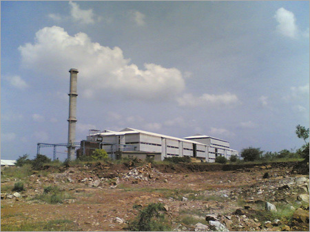 Sugar Plant