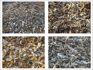 Shredded Scrap