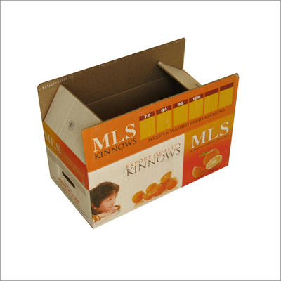 Food Packaging Boxes