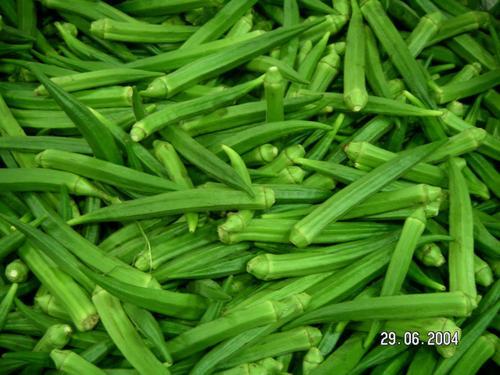lady finger