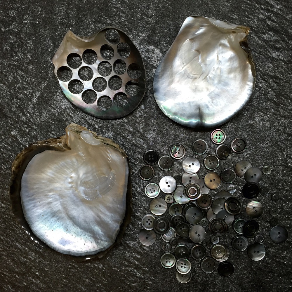 Natural Shell Buttons