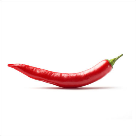 Chilly Pepper