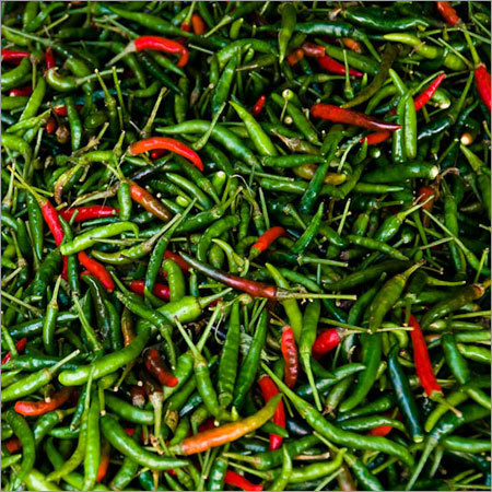 Green Chilly