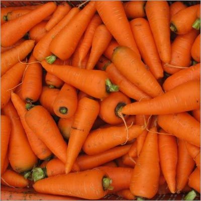 Carrots