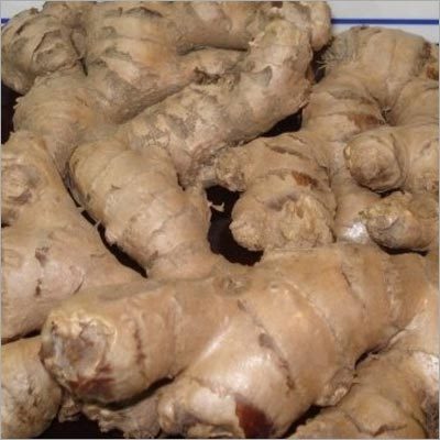 Ginger