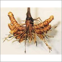 Curuemin Turmeric Roots