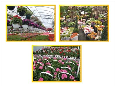Horticulture Projects