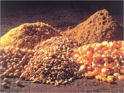 Yellow Corn & Poultry Feeds