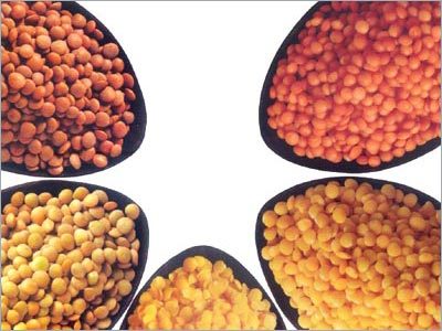 Pulses