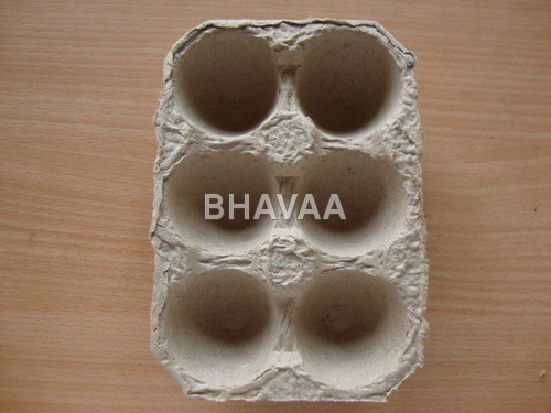 Paper Pulp Products