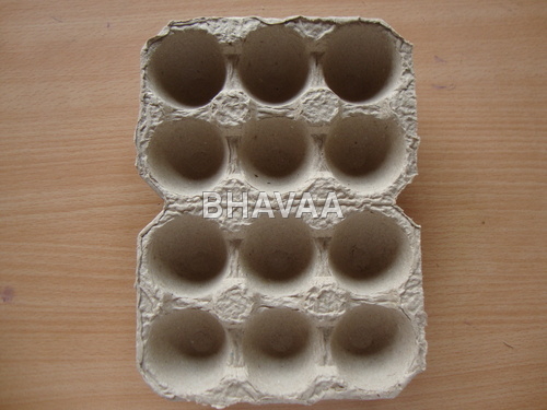 Paper Pulp Trays