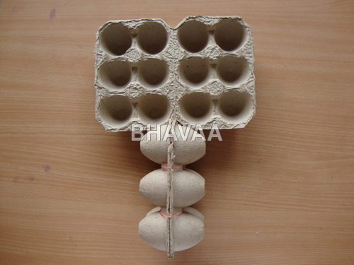 Pulp Molded Egg Trays