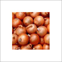 Fresh Onion
