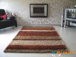 Stylish Shaggy Carpet