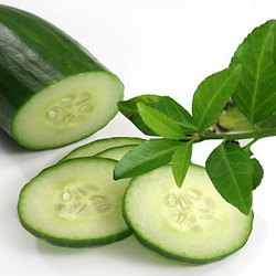 Cucumber