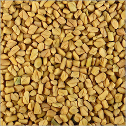 Fenugreek Seeds