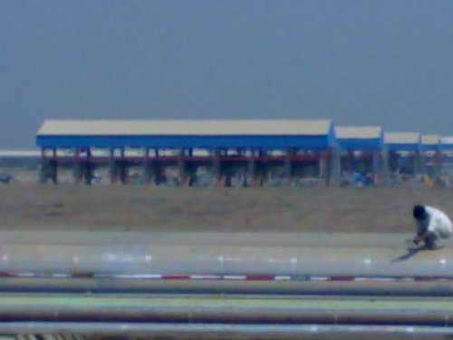 Aluminum Color Coated Sheets Services Provider