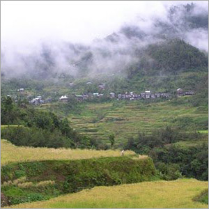Sikkim And East India Travel Packages