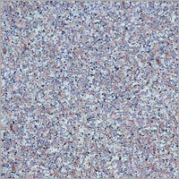Shell White Granite Stone