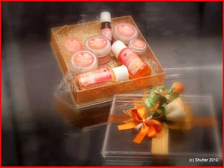 Sensuale Travel Products