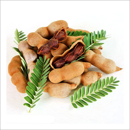 Tamarind