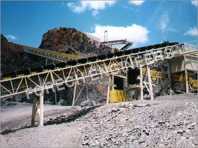 Fixed Conveyors