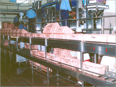 Crate Carrying Roller Conveyor