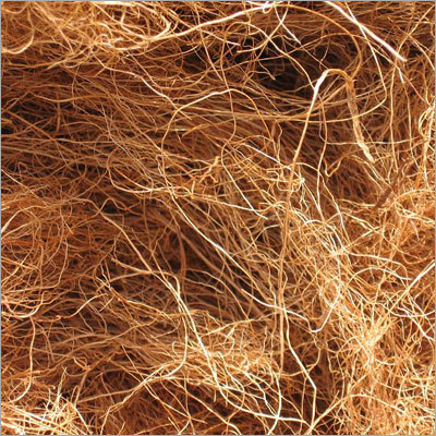 Coir Fibre