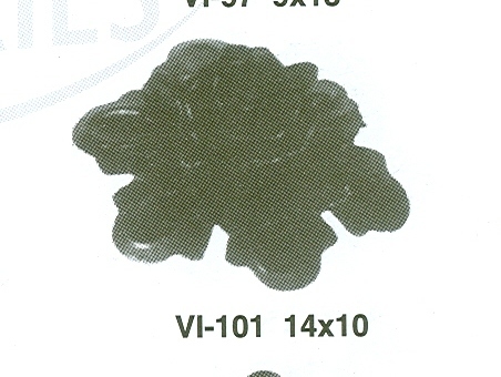 leaves and flowers