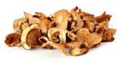 Dried Oyster Mushroom