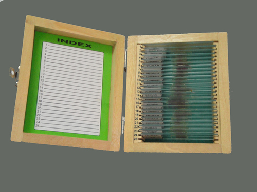 SLIDE BOX OF 50 SLIDES