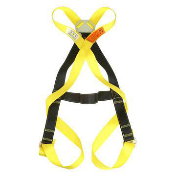 Safety Belts