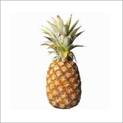 Pineapple - Oval-Cylindrical, Upto 10 Inches, Orange-Yellow Rind | Juicy Fibrous Flesh, High Vitamin C, Dietary Fiber, Bromelain Rich, Tropical Fruit