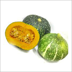 Pumpkin - 25 Feet Vine, Green Orange Fruit | High Nutrition, Antioxidant, Seed Rich, Versatile Cooking