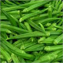 Ladies Finger - 5 to 6 Inches, Medium to Dark Green | Mild Taste, Tender Texture, Rich in Vitamins, High Fiber
