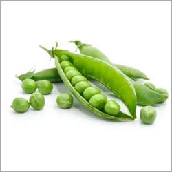 Green Peas - Edible Pod, Green Color, 5-8cm Pod Length | High Nutrition, Dietary Fiber, Easy Cooking, Versatile Use