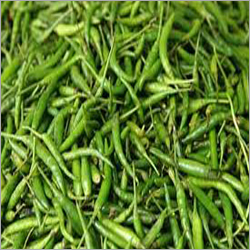 Green Chili - 12 Months Shelf Life, Green Color | Fresh, Pungent, Vitamin C, Versatile Additive, Bulk Packaging, Elongated Shape, Firm Texture
