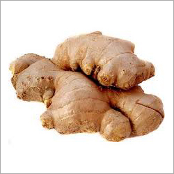 Ginger - Beige Rhizome, 12 Months Availability | Digestive Aid, Stimulant, Warm Sweet Aroma