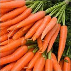 Carrot - 10-15 cm Length, Orange, 2-3 cm Diameter | Nutritious, Antioxidant, Vitamin A, Beta-Carotene