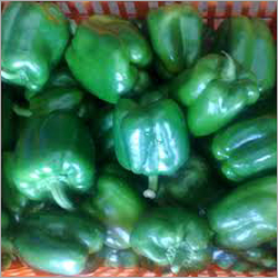 Capsicum - Green, Mid-November to February | Fresh, Flavorful, Crisp Texture, Bulk Packaging