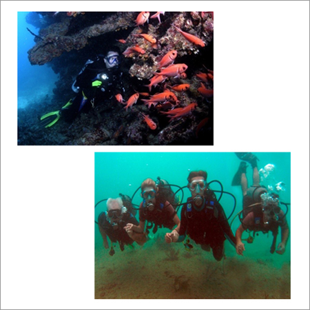 Scuba Diving